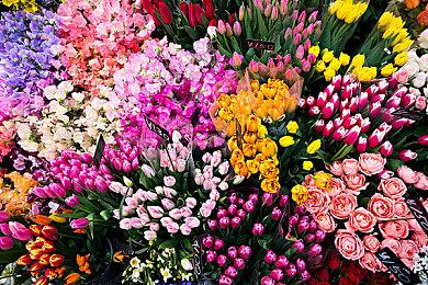 使用Lumen 粉丝自制虚幻5塞尔达风格环境视频